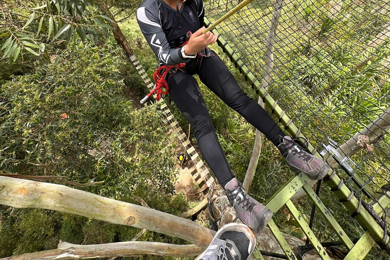 ميديلين: جولة نصف يوم للنزول إلى الشلالات الرائعة.