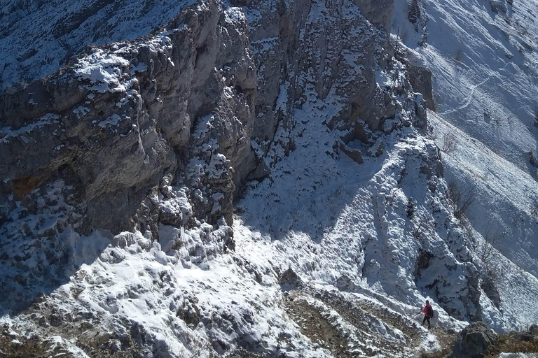 Spedizione nel Paese delle Meraviglie d&#039;Inverno, viaggio con le racchette da neve nella natura selvaggia