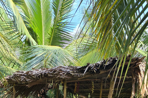 From HCMC-Mekong Delta Eco Tour: Non-Touristy & Small Group Pickup & Drop-off in District 1