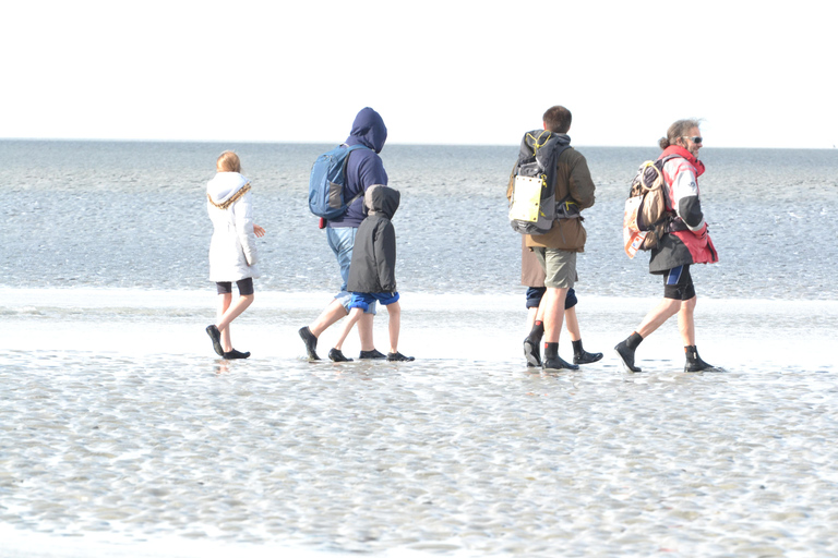 Mont-saint-Michel: begeleide wandeling aan de voet van de Merveille