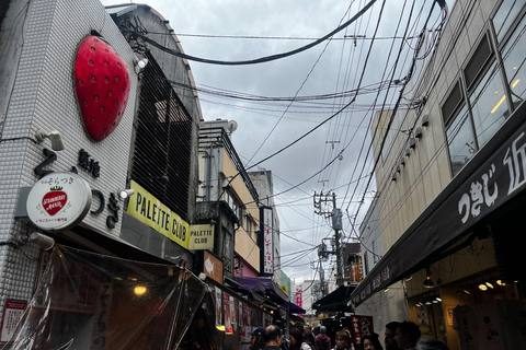 Visite des hauts lieux de Tokyo : Sumo, Sushi, Thé et Tour de Tokyo