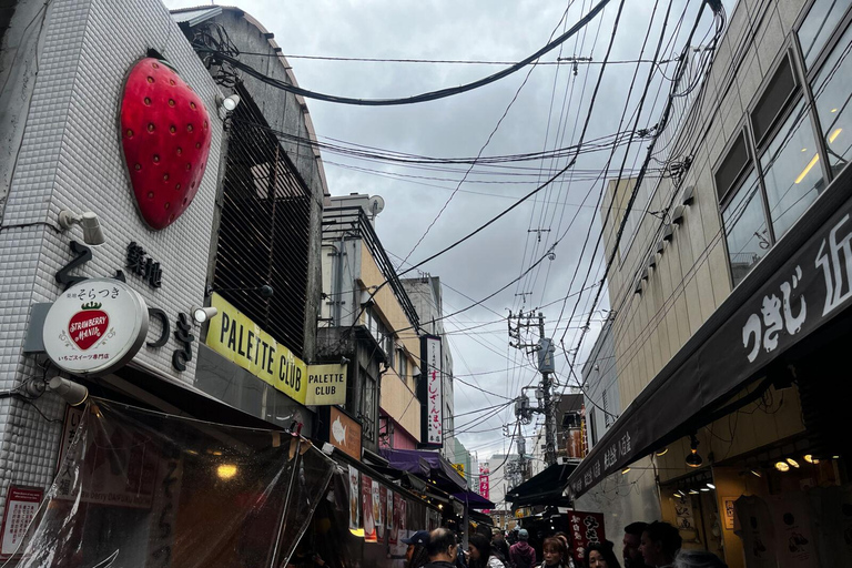 Passeio pelos destaques de Tóquio: Sumô, Sushi, Chá e Torre de Tóquio