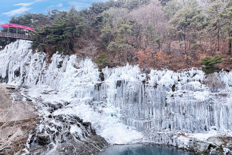 Busan: Winter Healing Park & (Gyeongju/Daegu) One Day Tour Healing Park + DAEGU Tour - Meet at Haeundae Station