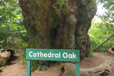 Wiltshire Excursión guiada en coche Mística y DragonesPor persona Coche