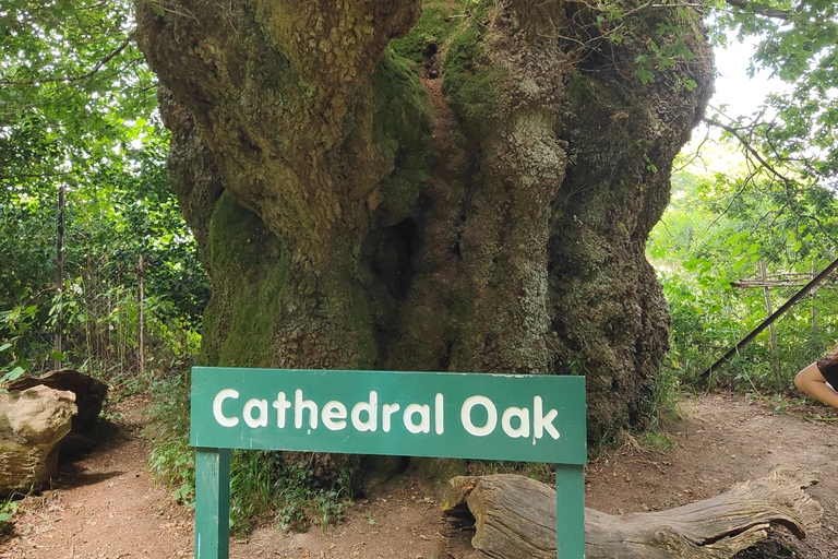 Wiltshire Excursión guiada en coche Mística y DragonesPor persona Coche