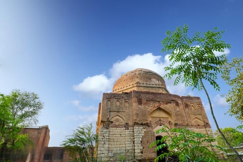 From Delhi: Hisar & Rakhigarhi Private Day Trip with Guide