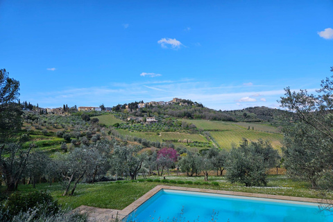 Florence: 2-Day Chianti E-Bike Adventure to Siena