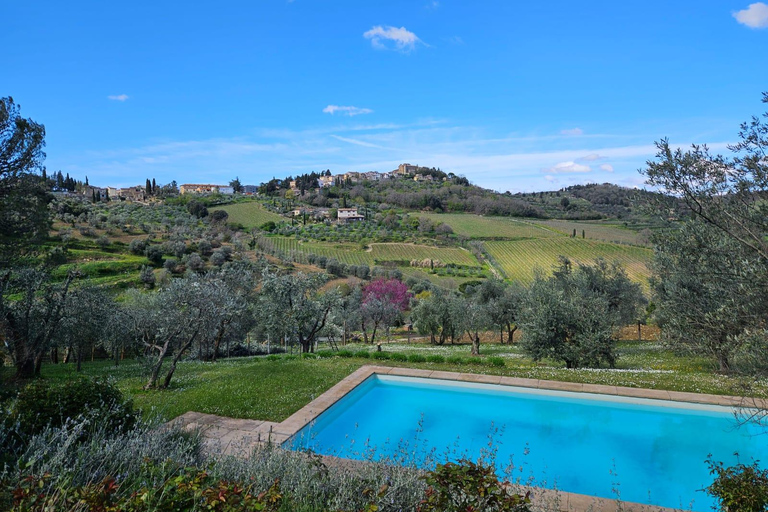 Florence: 2-Day Chianti E-Bike Adventure to Siena