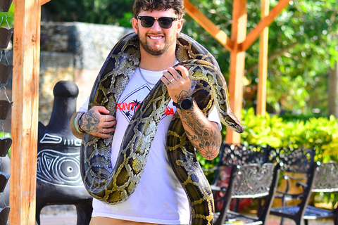 Punta Cana: Buggy After Dark with Snake Encounter & Buffet