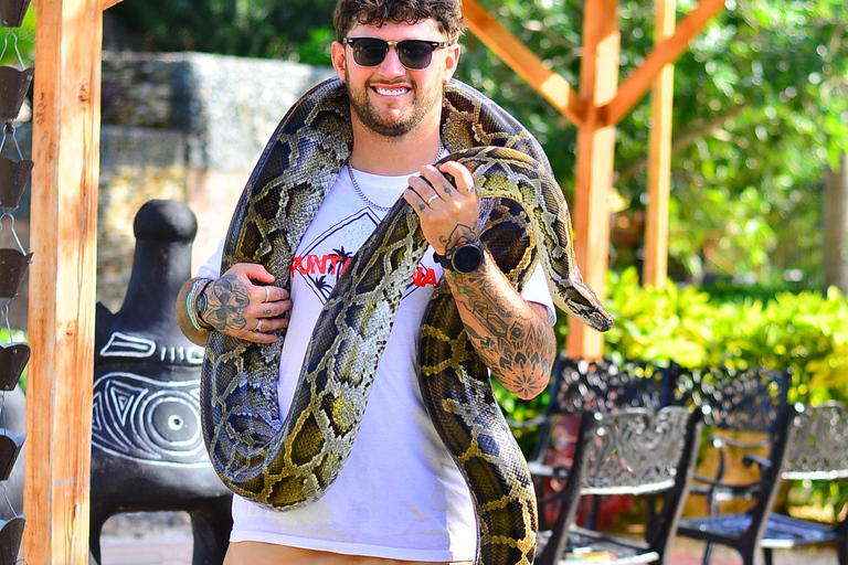Punta Cana: Buggy After Dark with Snake Encounter & Buffet