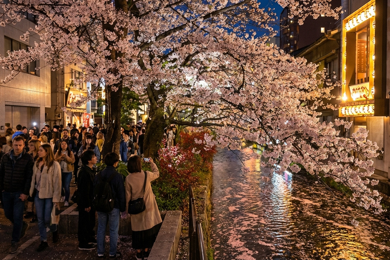 Kyoto Cherry Blossom Night: Izakaya Walk Kyoto Cherry Blossom Night: Izakaya Walk
