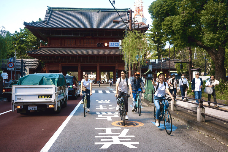 Tokyo - 3 timmar 3 timmars cykel- / cykeltur i de historiska områdena