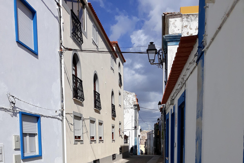 Sines: Zwiedzanie zabytkowego centrum, muzeum i zamku w Sines