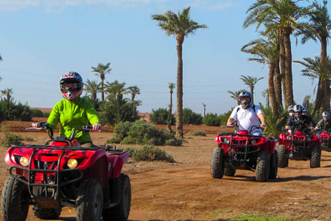 Excursion en quad dans le désert et à dos de dromadaire. Déjeuner ou dîner