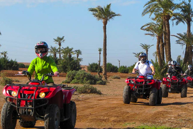 Excursion en quad dans le désert et à dos de dromadaire. Déjeuner ou dîner