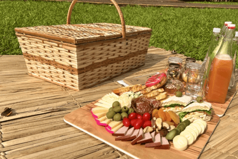 From Foz do Iguaçu: Picnic at Iguazu Falls