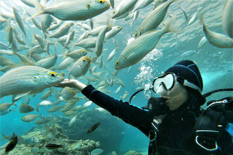 Antalya: Kemer Scuba Diving for Beginners & Certified Divers For Beginners Divers