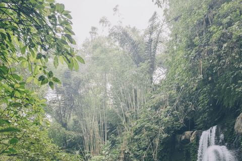 Bali: Hidden And New Secret Waterfalls All Including