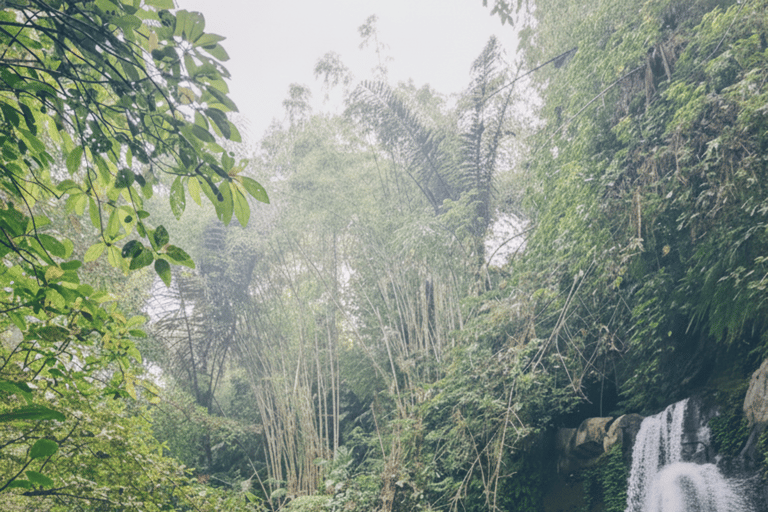 Bali: Hidden And New Secret Waterfalls All Including