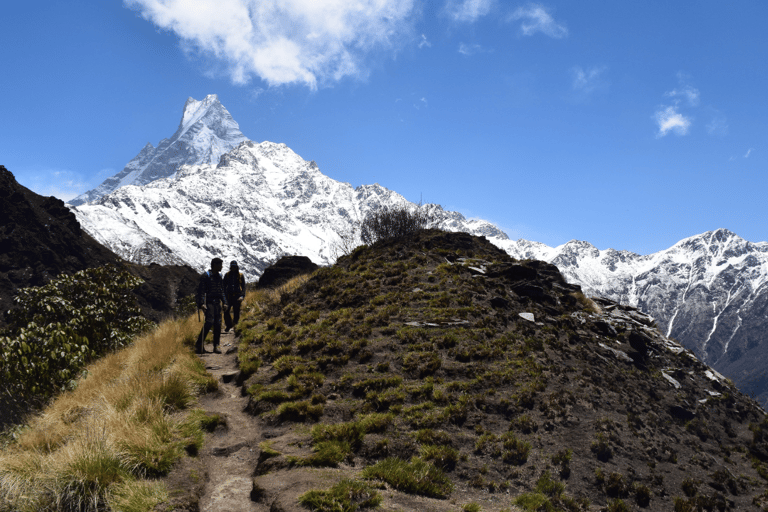 Desde Katmandú: Trekking de 10 días al Mardi Himal con alojamientoDesde Katmandú: Trekking de 10 días por Mardi Himal con alojamiento