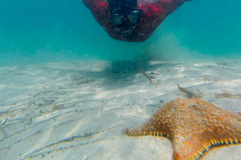 Bocas del Toro: Snorkel in Crystal-Clear Waters and Playa Estrella by Boat Bocas del Toro: Snorkel in Crystal Clear Waters and Playa Estrella by Boat
