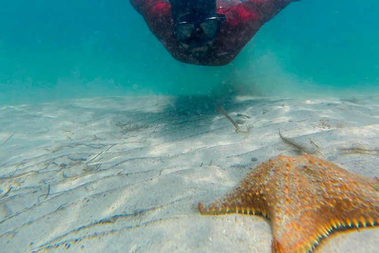 Bocas del Toro: Snorkel in Crystal-Clear Waters and Playa Estrella by Boat Bocas del Toro: Snorkel in Crystal Clear Waters and Playa Estrella by Boat