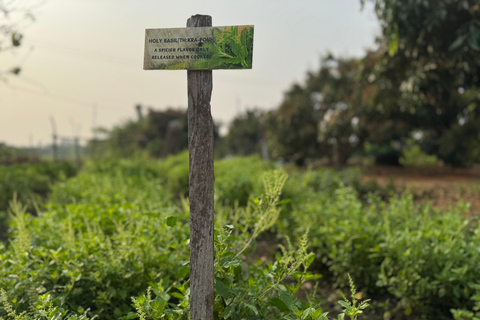 Aonang: Thaise kookles met markt- en moestuintourAonang: Thaise kookles met markt- en keukentuintour