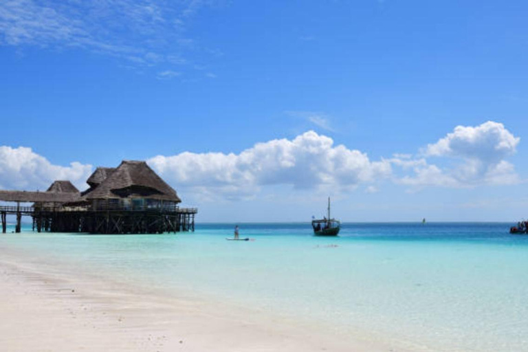 Zanzibar: Mnemba Dolphin Swim, Turtle Aquarium & Beach Trip TOUR WITHOUT HOTEL TRANSFER(PICK UP AND DROP OFF)