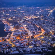 Hakodate: Shore Excursion for Cruise Guests (Group)