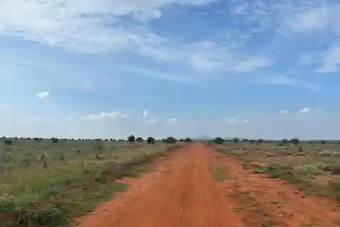 Desde Watamu: Safari de 2 días en el Parque Nacional de Tsavo Oriental