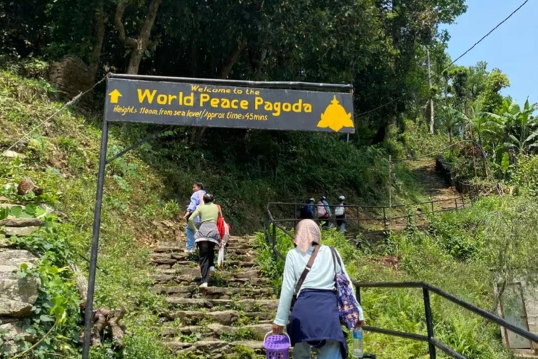 Pokhara: World Peace Pagoda & Pumdikot Day Hike with Guide