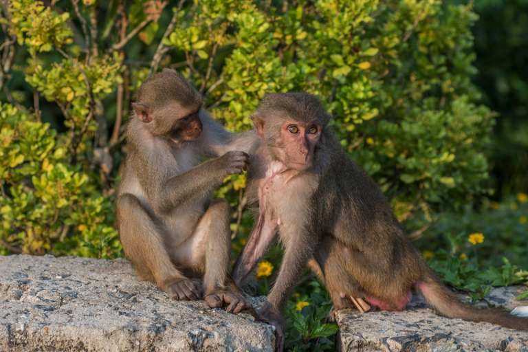 Marmorbergen - Hoi An - båttur och lykttändning