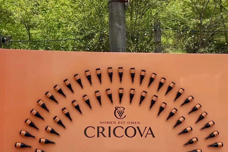 Cricova Winery: Tour and Wine Tasting