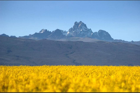 Von Nairobi aus: Mount Kenia 4-tägiges Wanderabenteuer