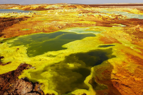 5-Days Afar and Awash National Park Tour