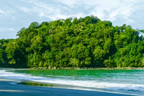 Manuel Antonio: Surfing Lessons For Everyone - Costa Rica