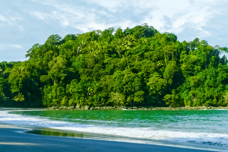 Manuel Antonio: Lezioni di surf per tutti - Costa Rica