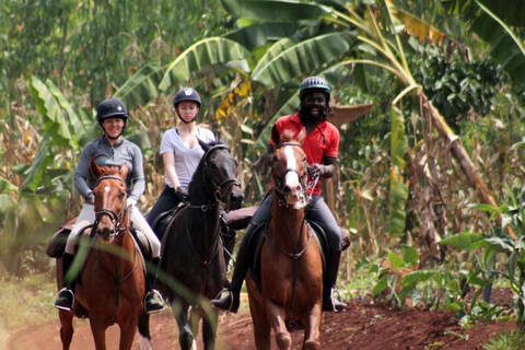 UGANDA Paardrijden - SCHITTERENDE LANDSCHAPPEN &amp; Avonturen | 8 Dagen