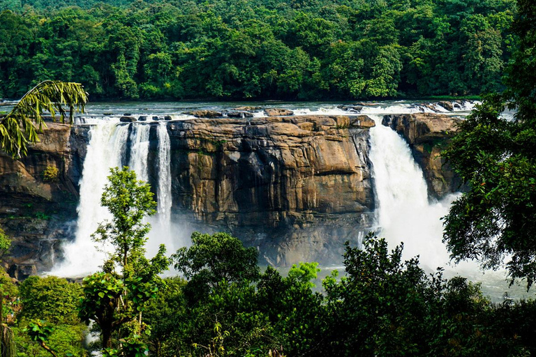Athirappilly Waterfalls from Cochin – One Day Tour