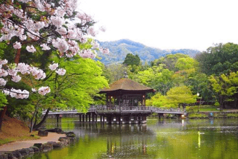 Nara: Private Full-Day Tour with Licensed Guide
