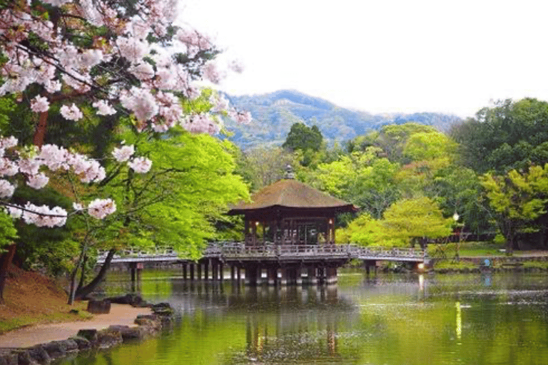 Nara: Private Full-Day Tour with Licensed Guide