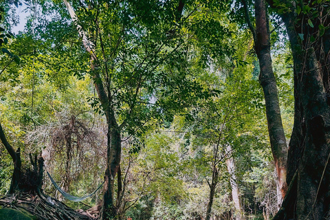 Siem Reap: Kulen Berg, Beng Mealea en Tonle Sap TourPrivétour