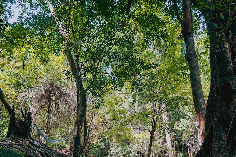 Siem Reap: Kulen Berg, Beng Mealea en Tonle Sap TourPrivétour