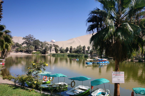 Z Limy: 2 dni Paracas Ica Huacachina i winnice