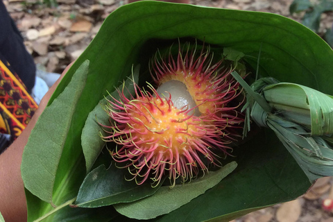 Zanzibar: Spice Tour with Lunch