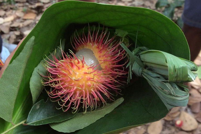 Zanzibar: Spice Tour with Lunch