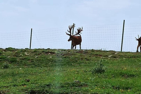 Bakoe: Shamakhi Safari Tour met lokale lunch