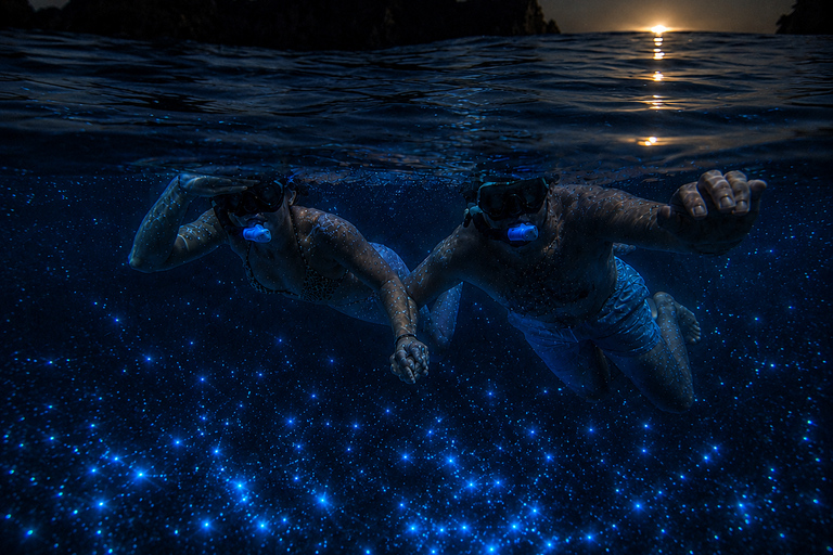 Krabi: Private luxury Longtail Boat Sunset & Plankton Tour