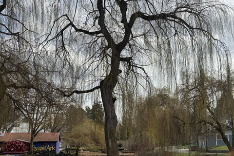 Vancouver City Tour+Stanley Park+Granville Island+China+Gas