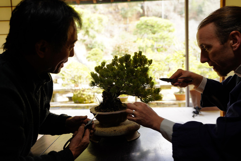 Hiroshima: Bonsai - A Gentle Journey into Nature’s Art